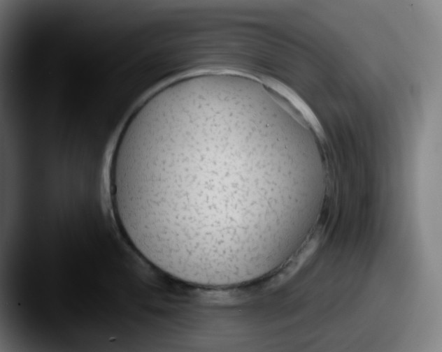 X0000087571004200705181139