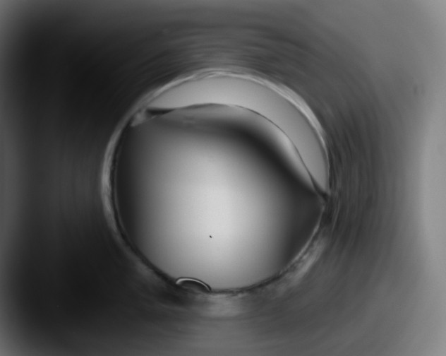 X0000087571005200705181139