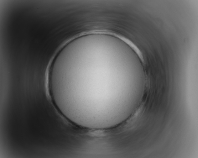 X0000087571006200705181139