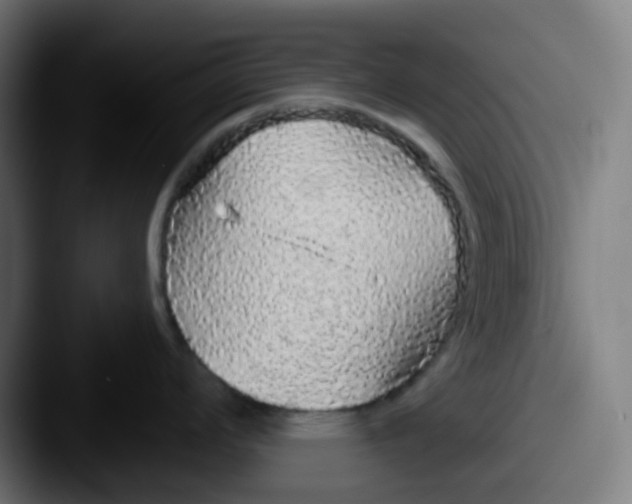 X0000087571008200705181139