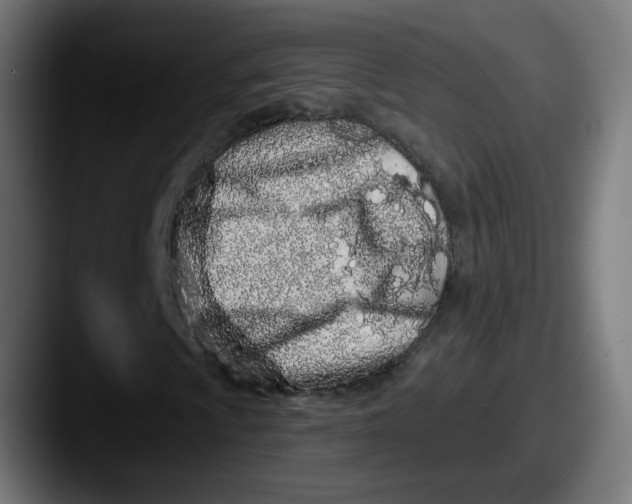 X0000087571009200705181139