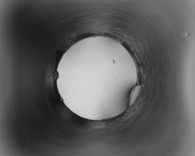 X0000087571012200705181139