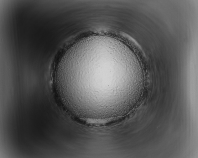 X0000087571016200705181139