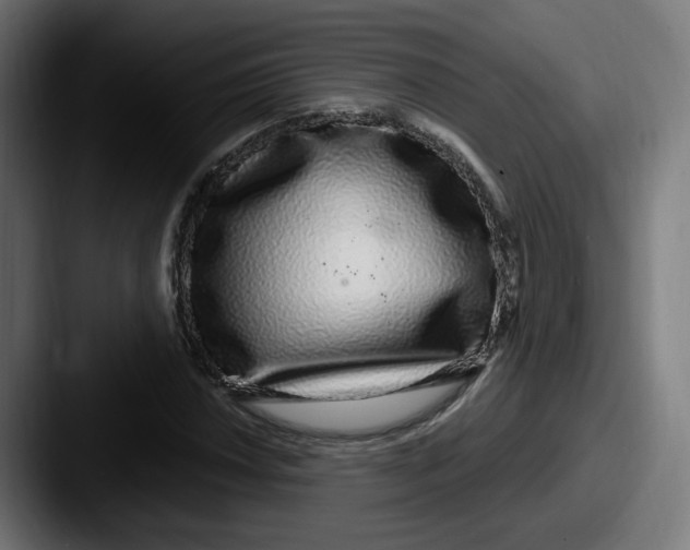 X0000087571018200705181139