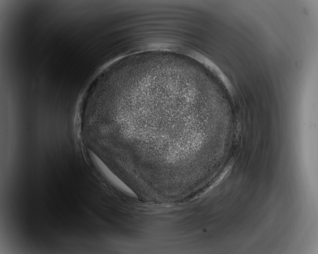 X0000087571019200705181139