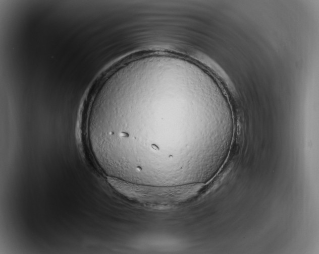 X0000087571020200705181139