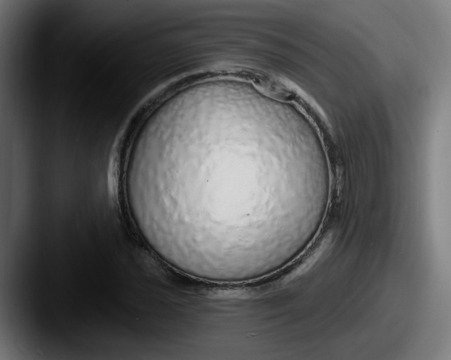 X0000087571021200705181139