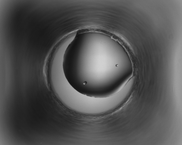 X0000087571022200705181139