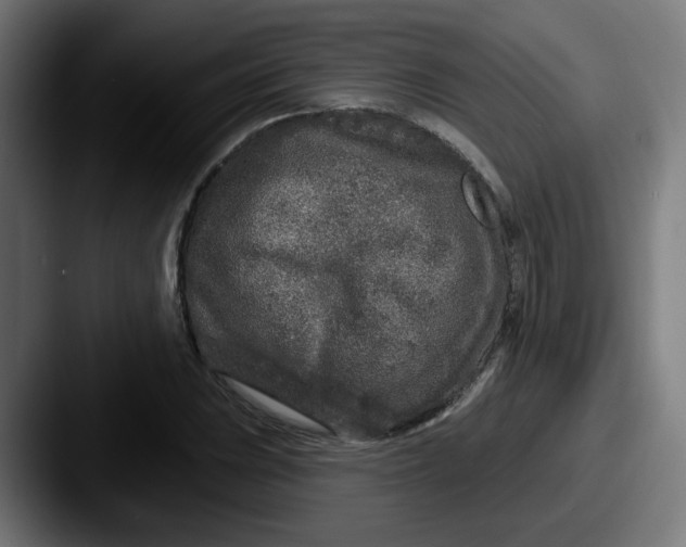 X0000087571023200705181139