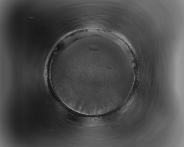 X0000087571024200705181139