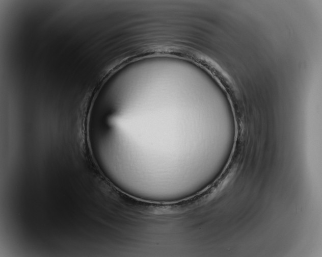 X0000087571025200705181139