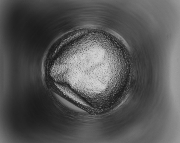 X0000087571027200705181139