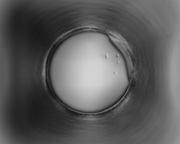 X0000087571028200705181139