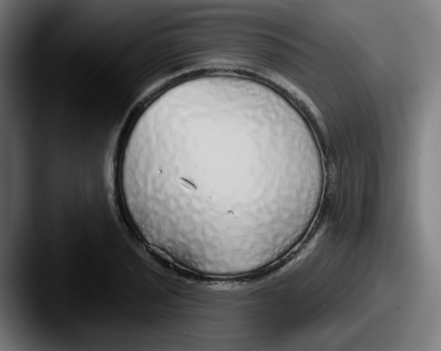 X0000087571029200705181139