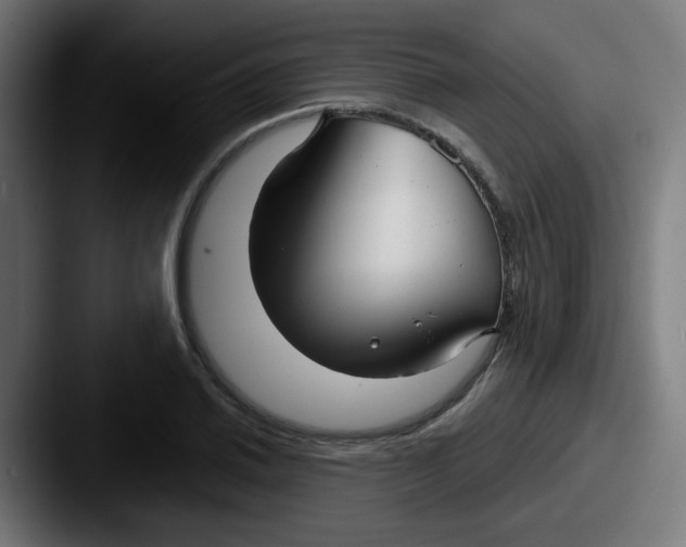 X0000087571030200705181139