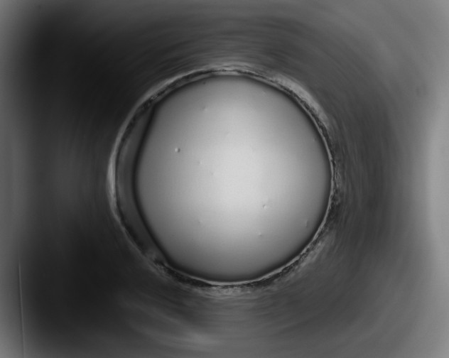 X0000087571032200705181139