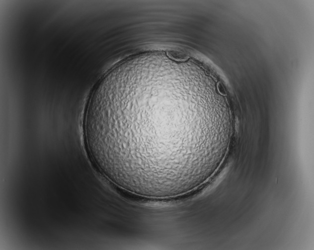 X0000087571033200705181139