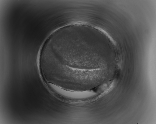 X0000087571038200705181139