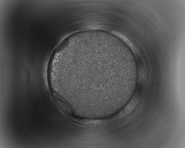 X0000087571039200705181139