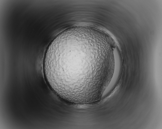 X0000087571041200705181139