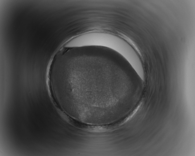 X0000087571042200705181139