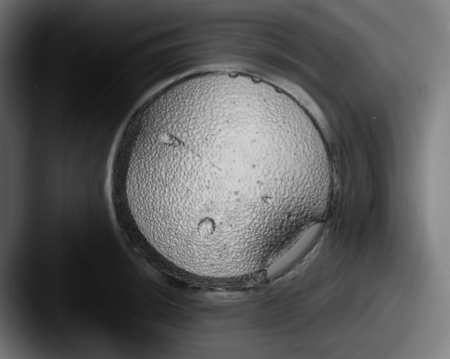 X0000087571044200705181139