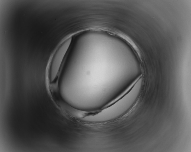 X0000087571048200705181139