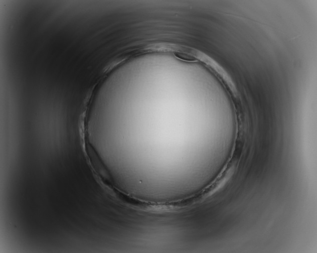 X0000087571049200705181139