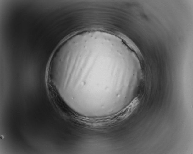 X0000087571052200705181139