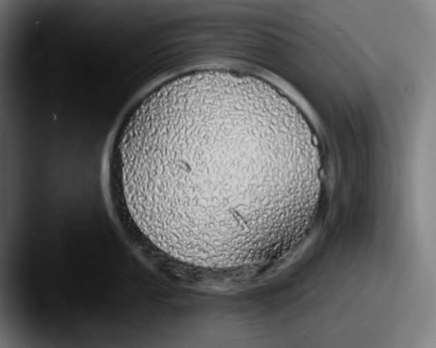 X0000087571053200705181139