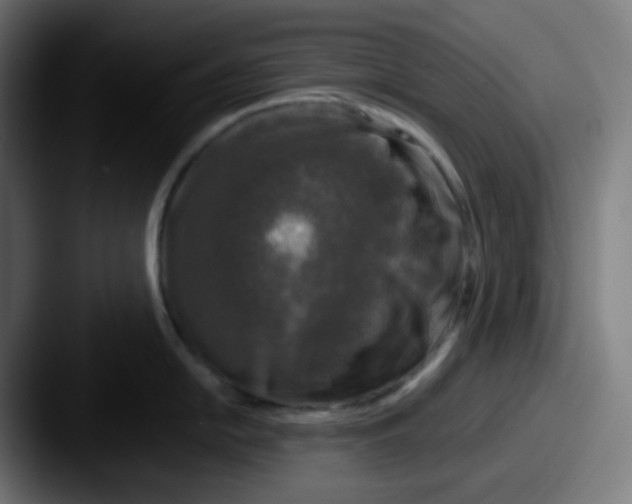 X0000087571054200705181139