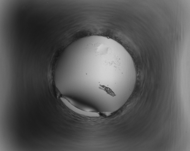 X0000087571058200705181139