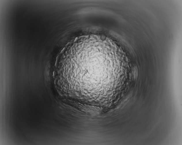 X0000087571059200705181139