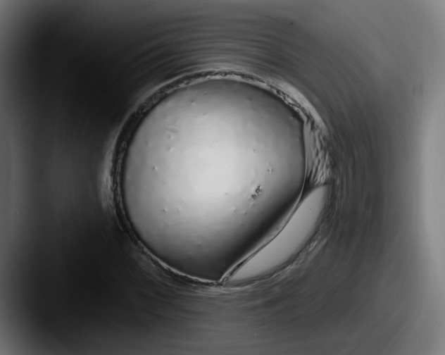 X0000087571068200705181138