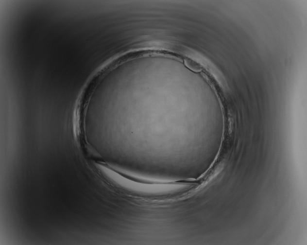 X0000087571069200705181138