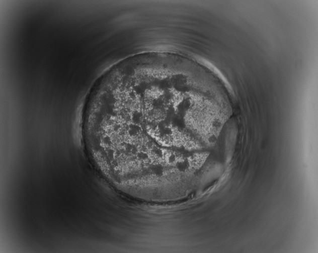 X0000087571071200705181138