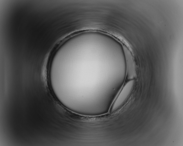 X0000087571072200705181138