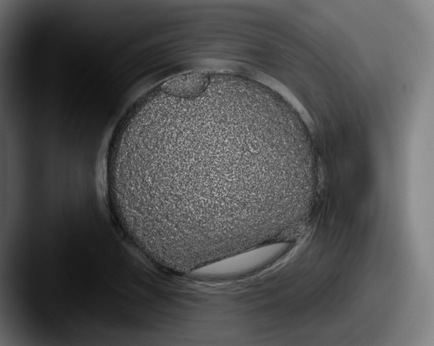 X0000087571075200705181138