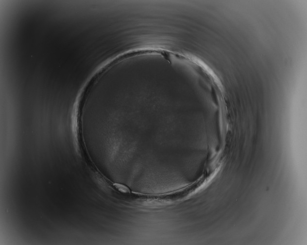 X0000087571077200705181138