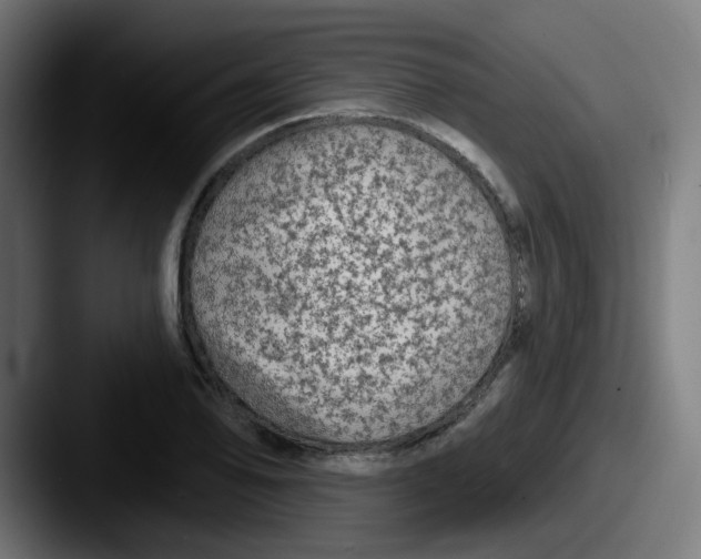 X0000087571078200705181138