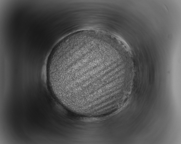 X0000087571079200705181138