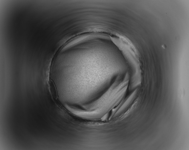 X0000087571081200705181138