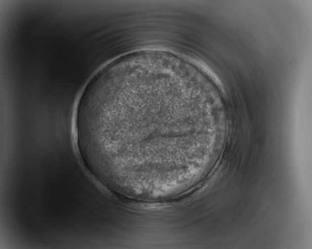 X0000087571084200705181138