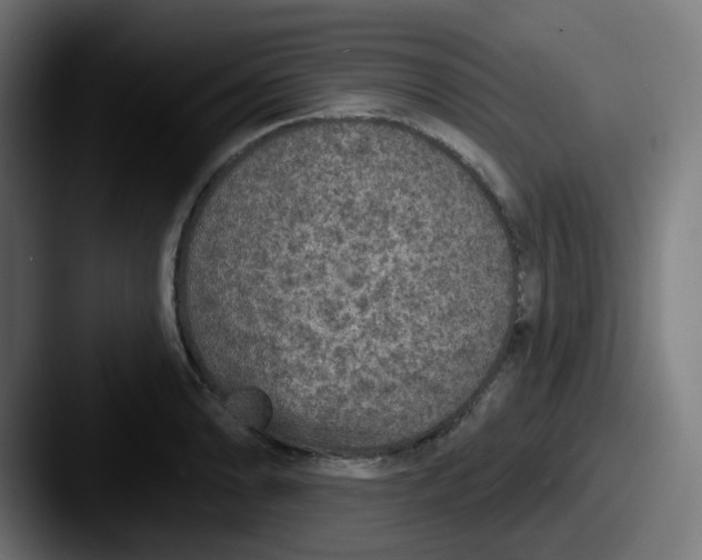 X0000087571086200705181138