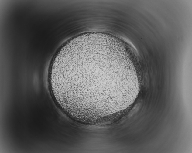 X0000087571087200705181138