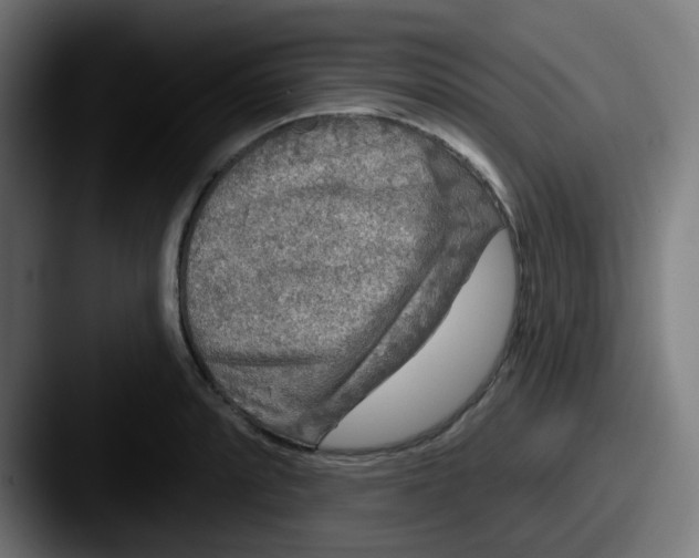 X0000087571088200705181138