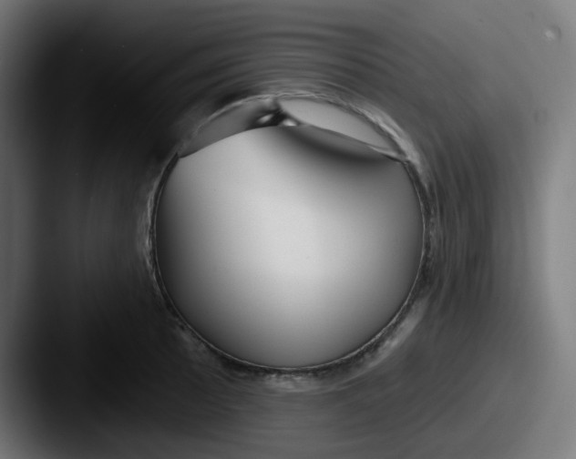 X0000087571089200705181138