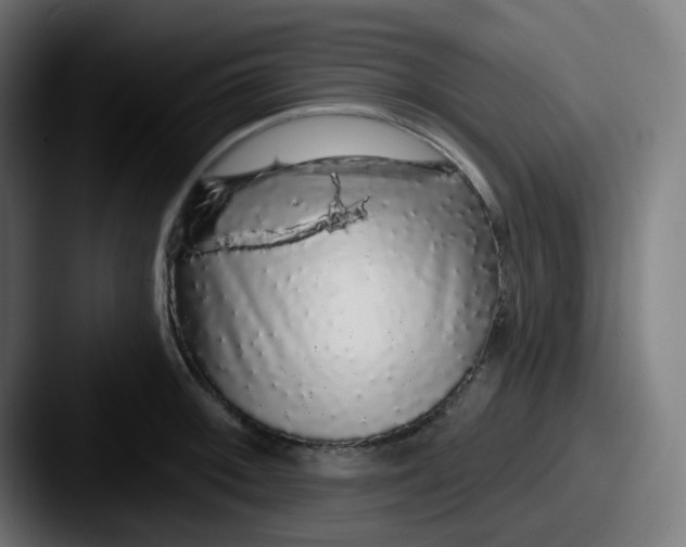 X0000087571092200705181138