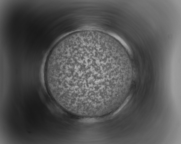 X0000087571094200705181138