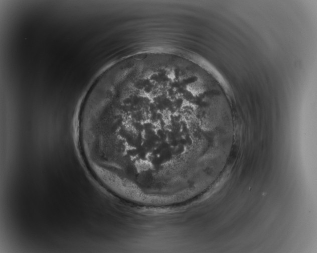 X0000087571095200705181138